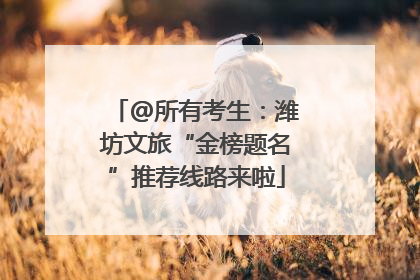 @所有考生：潍坊文旅“金榜题名”推荐线路来啦