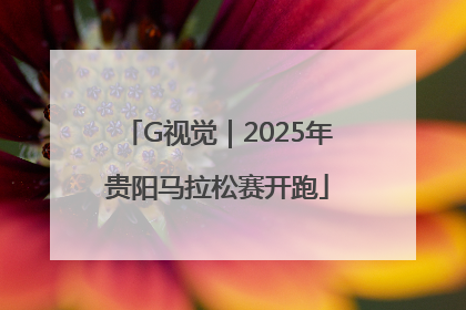 G视觉｜2025年贵阳马拉松赛开跑