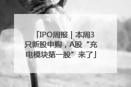 IPO周报｜本周3只新股申购，A股“充电模块第一股”来了