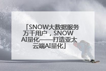 SNOW大数据服务万千用户，SNOW AI量化——打造亚太云端AI量化
