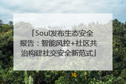 Soul发布生态安全报告：智能风控+社区共治构建社交安全新范式
