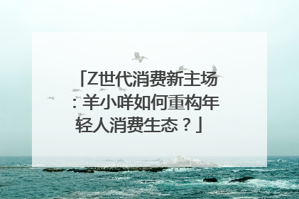 Z世代消费新主场：羊小咩如何重构年轻人消费生态？
